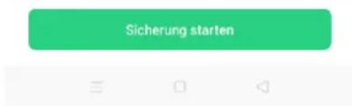 Sicherung starten