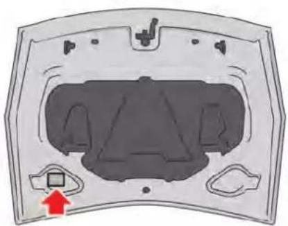 Diagram of a car hood with internal compartments and a red arrow pointing to a component (no text or symbols)