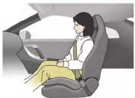 Illustration of a person seated in a car, wearing a seatbelt and white shirt (no text or symbols visible)