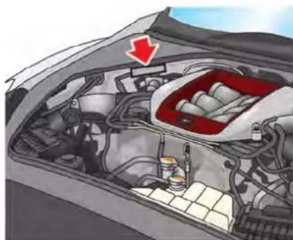 Interior view of a car's head and engine bay showing internal components and a red arrow indicating a specific component (no text or symbols present)