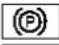 NISSAN Rogue (2021) - WARNINGLIGHTS,INDICATOR LIGHTSANDAUDIBLEREMINDERS - 5
