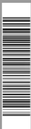 Image displaying a vertical column of evenly spaced black-and-white horizontal lines, resembling a barcode or data matrix.