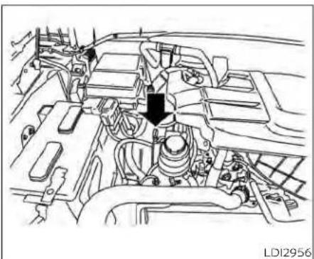 NISSAN Titan (2021) - ENGINEOIL - 1