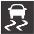 VOLVO S60 (2021) - Electronic Stability Control symbols and messages - 5