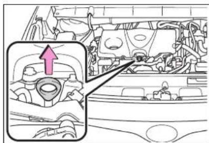 TOYOTA Highlander Hybrid (2021) - ■ Checking the engine oil - 1