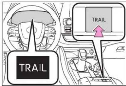 TRAIL TRAIL