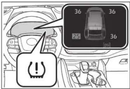 36 36 25 36 [05]