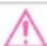 TOYOTA Highlander Hybrid (2021) - WARNING - 1