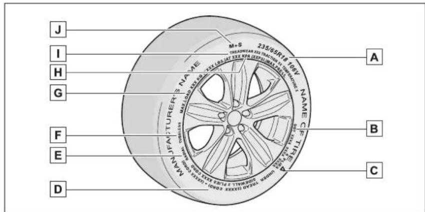 J I H G F E D MAX TFE NAME M+S 235/65R# 170V TREADWAS MAX TRACTION IN THE MAX TFE NAME MAX TFE MAX TRACTION IN THE MAX TFE NAME MAX TFE MAX TRACTION IN THE MAX TFE NAME MAX TFE MAX TRACTION IN THE MAX TFE NAME MAX TFE MAX TRACTION IN THE MAX TFE NAME MAX TFE MAX TRACTION IN THE MAX TFE NAME MAX TFE MAX TRACTION IN THE MAX TFE NAME MAX TFE MAX TRACTION IN THE MAX TFE NAME MAX TFE MAX TFE MAX TRACTION IN THE MAX TFE NAME MAX TFE MAX TFE MAX TRACTION IN THE MAX TFE NAME MAX TFE MAX TFE MAX TRACTION IN THE MAX TFE NAME MAX TFE MAX TFE MAX TRACTION IN THE MAX TFE NAME MAX TFE MAX TFE MAX TRACTION IN THE MAX TFE NAME MAX TFE MAX TFE MAX TRACTION IN THE MAX TFE NAME MAXTURER'S NAME MAX TFE NAME MAX TFE NAME MAX TFE NAME MAX TFE NAME MAX TFE NAME MAX TFE NAME MAX TFE NAME MAX TFE NAME MAX TFE NAME