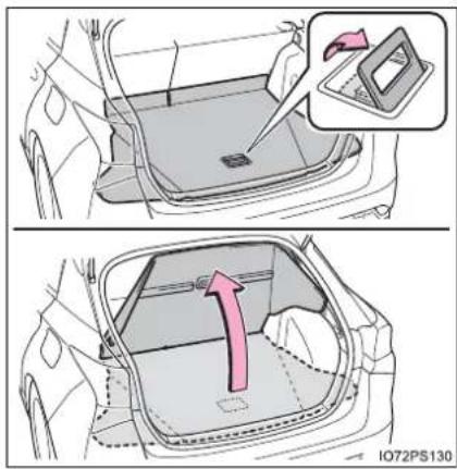 Diagram illustrating car interior and rear door assembly with a magnified inset showing the device's side view.
