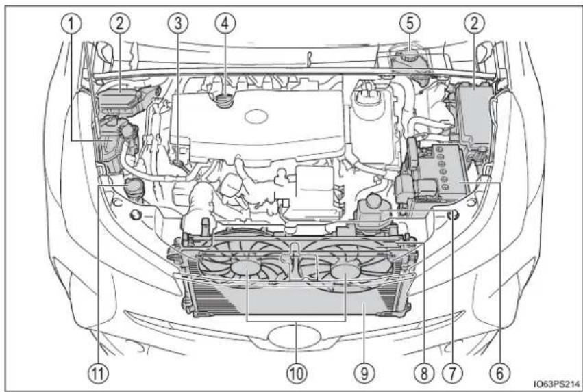 Technical diagram of a car engine bay with numbered components for identification