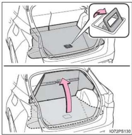 Diagram illustrating car interior and rear door assembly with a magnified inset showing the device's side view.