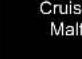 TOYOTA Sequoia (2021) - If a warning message is displayed - 16