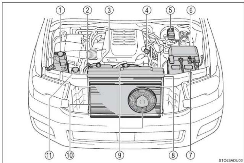 Diagram of a car's front engine compartment with numbered parts for identification