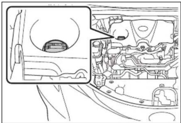 TOYOTA Sienna Hybrid (2021) - ■Adding engine oil - 1