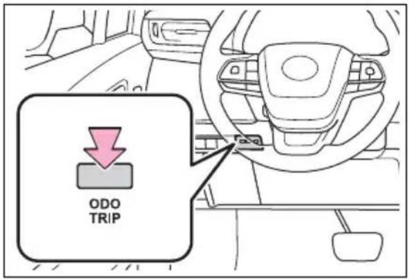 ODO TRIP