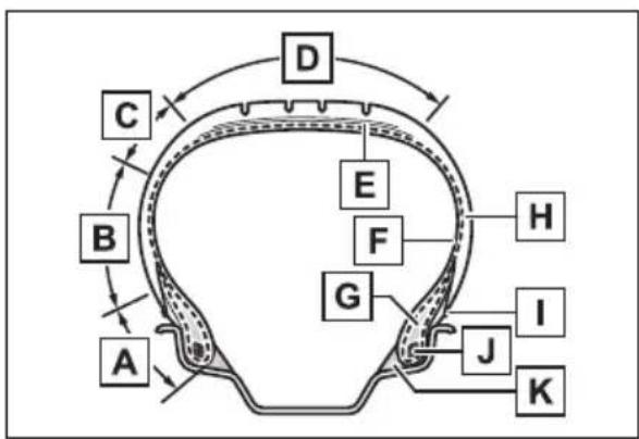 TOYOTA Sienna Hybrid (2021) - Tire section names - 1