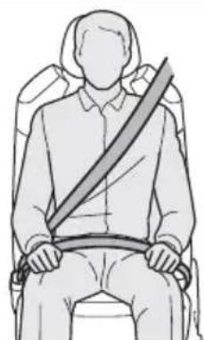 TOYOTA Sienna Hybrid (2021) - Correct use of the seat belts - 1