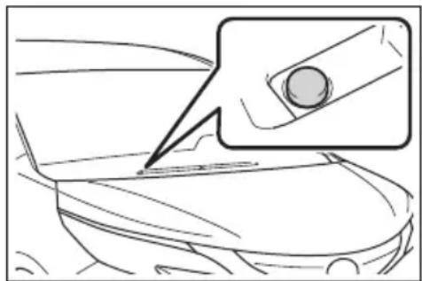 TOYOTA Sienna Hybrid (2021) - ■Headlight control sensor - 1
