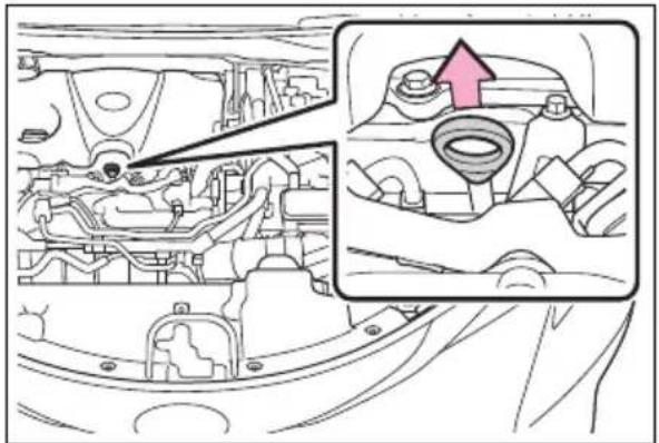 TOYOTA Sienna Hybrid (2021) - ■ Checking the engine oil - 1