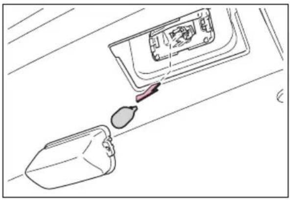 TOYOTA Sienna Hybrid (2021) - ■License plate lights - 3