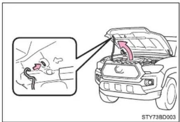 STY73BD003