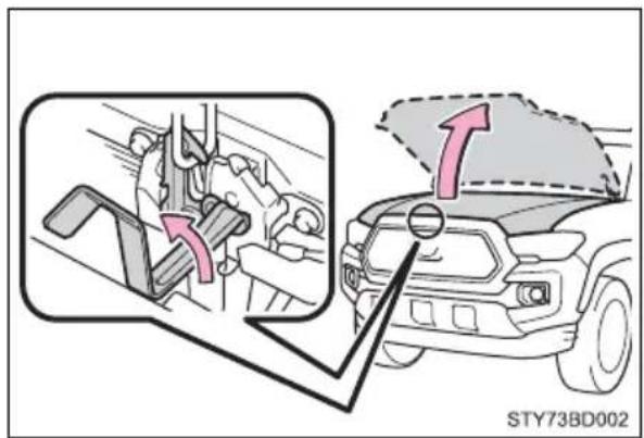 STY73BD002