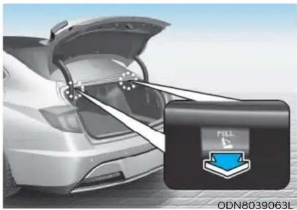 HYUNDAI Sonata (2021) - WARNING - 2