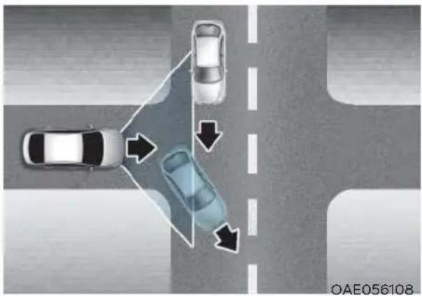HYUNDAI Sonata (2021) - Limitations of the System - 6