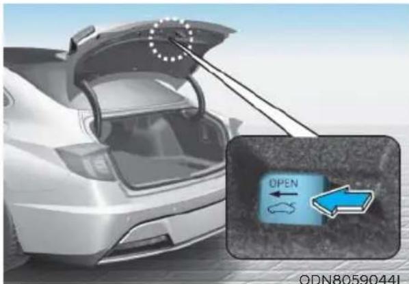 HYUNDAI Sonata (2021) - Emergency Trunk Safety Release Inside the trunk - 1