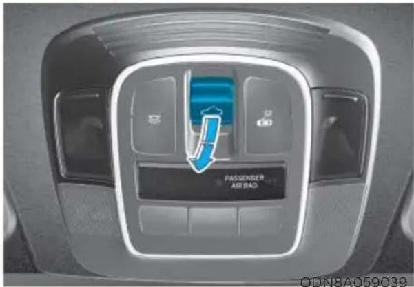PASSenger AIR BAG ODN8A059039