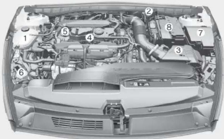 Technical diagram of a car engine bay with numbered components for identification