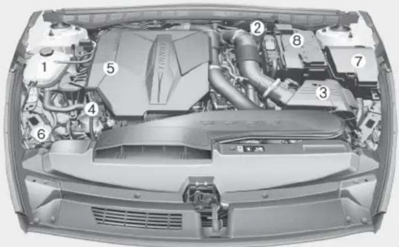 Technical diagram of a car engine bay with numbered components for identification