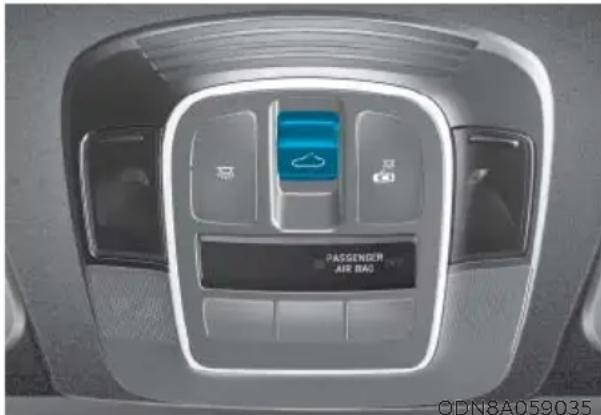 HYUNDAI Sonata (2021) - PANORAMIC SUNROOF (IF EQUIPPED) - 1