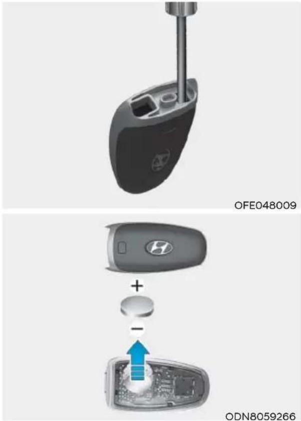 OFE048009 + - ODN8059266