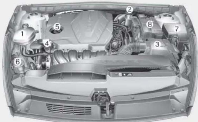 Technical diagram of a car engine bay with numbered components for identification