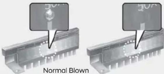 50A Normal Blown