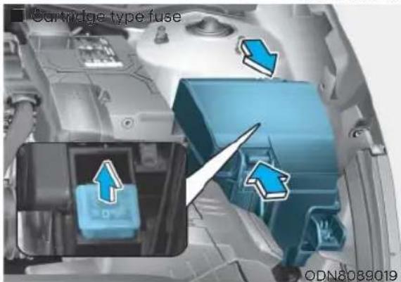Cartridge type fuse ODN8039019