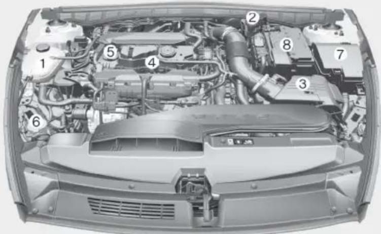 Technical diagram of a car engine bay with numbered components for identification