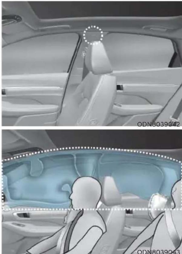 HYUNDAI Sonata (2021) - WARNING - 1