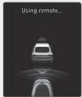 Using remote...