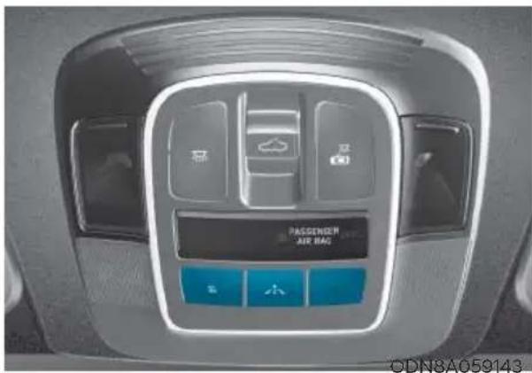 AIR BAG PASSENGEN AIR BAG ©DN8A059143