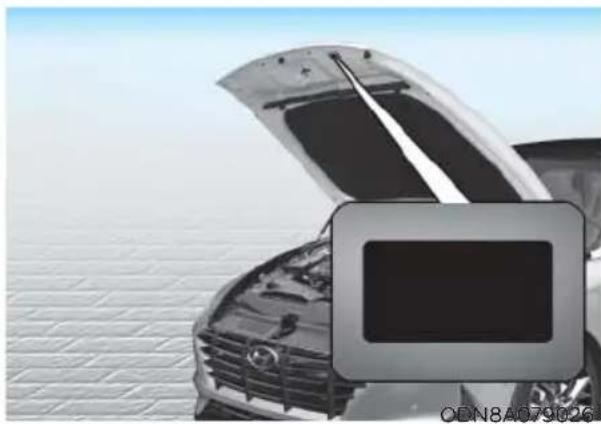 HYUNDAI Sonata (2021) - WARNING - 3