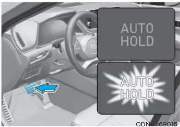 AUTO HOLD AUTO HOLD ODN8069016