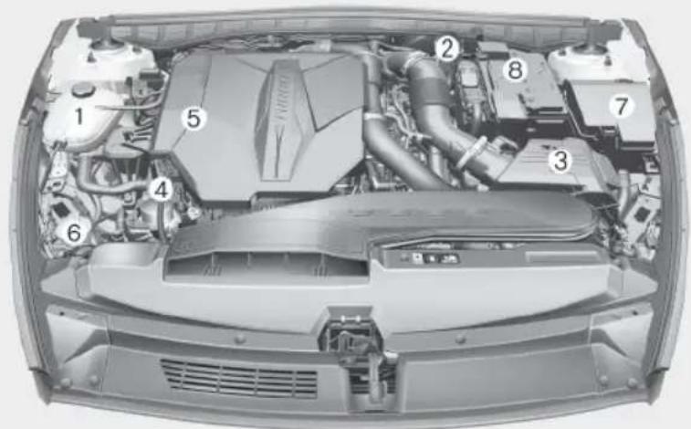 Technical diagram of a car engine bay with numbered components for identification