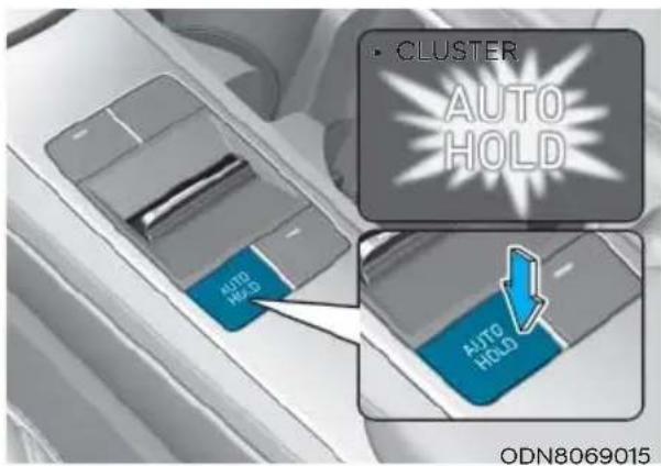 • CLUSTER AUTO HOLD AUTO HOLD ODN8069015
