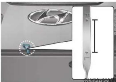 HYUNDAI Palisade (2020) - Checking the Engine Oil Level - 1