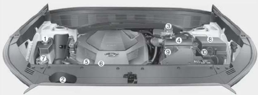 Technical diagram of a car engine bay with numbered components for identification