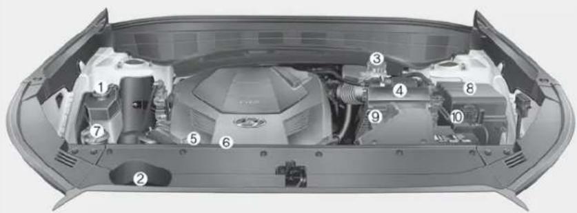 Technical diagram of a car engine bay with numbered components for identification