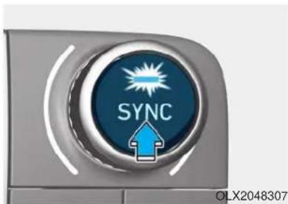 SYNC OLX2048307